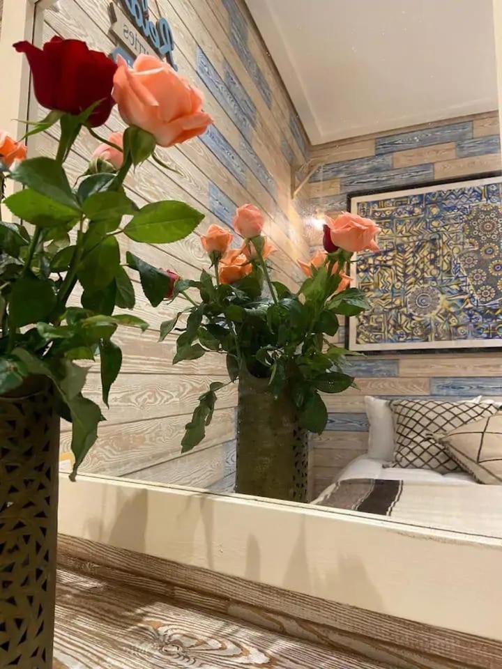 Casa Cameleon Apartment