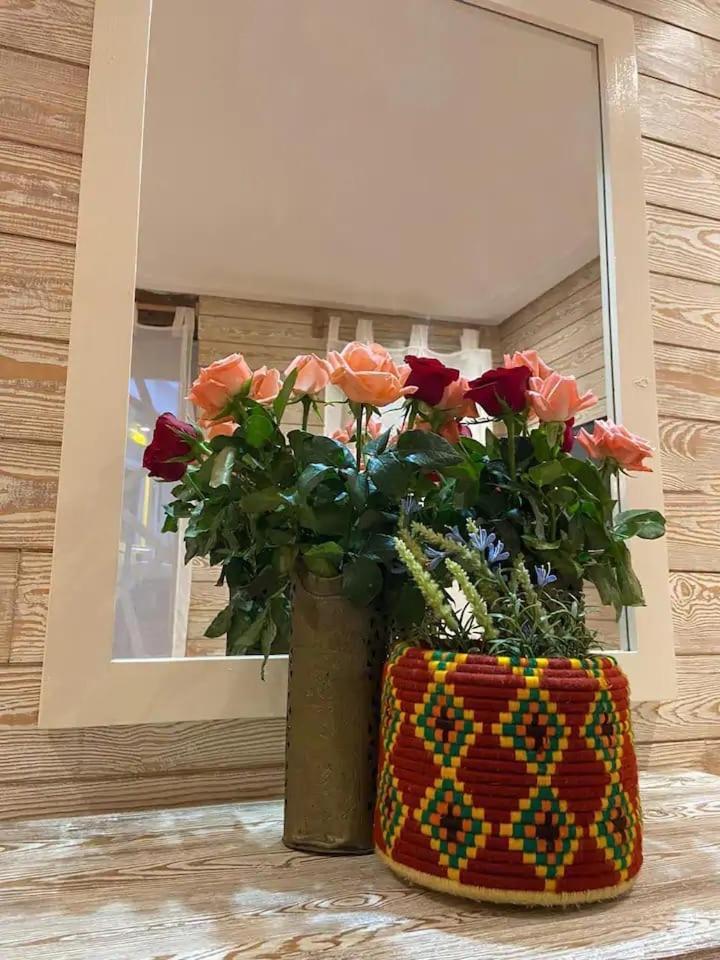 Appartement Casa Cameleon Essaouira
