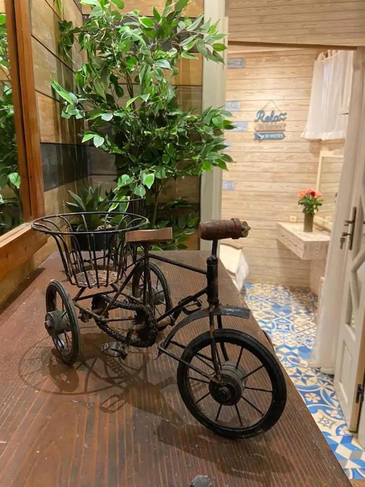 Casa Cameleon